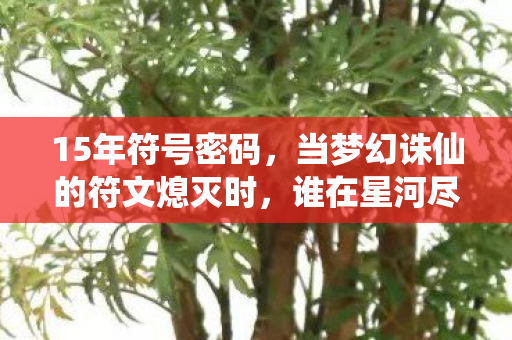 15年符号密码，当梦幻诛仙的符文熄灭时，谁在星河尽头落泪？