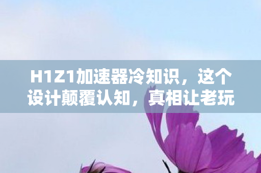 H1Z1加速器冷知识,这个设计颠覆认知,真相让老玩家目瞪口呆! H1Z1加速器冷知识,这个设计颠覆认知,真相让老玩家目瞪口呆!