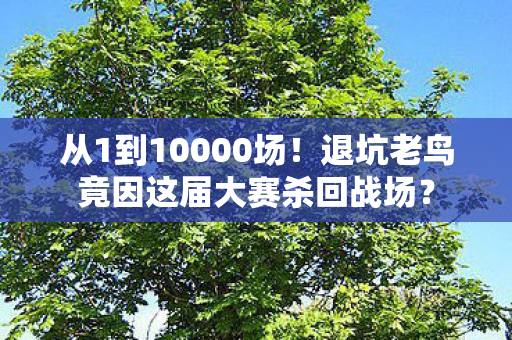从1到10000场!退坑老鸟竟因这届大赛杀回战场? 从1到10000场!退坑老鸟竟因这届大赛杀回战场?