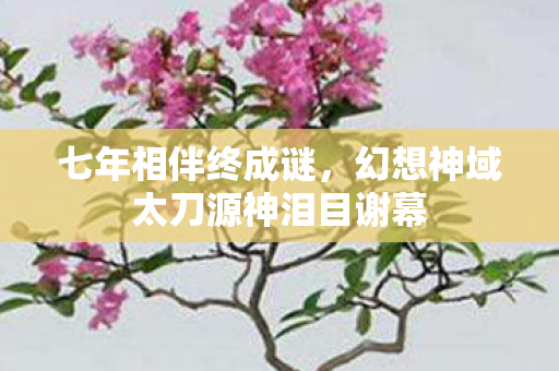 七年相伴终成谜，幻想神域太刀源神泪目谢幕