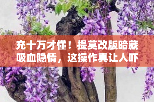 充十万才懂!提莫改版暗藏吸血隐情,这操作真让人吓一跳! 充十万才懂!提莫改版暗藏吸血隐情,这操作真让人吓一跳!