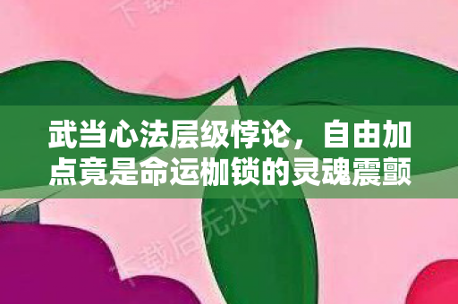 武当心法层级悖论,自由加点竟是命运枷锁的灵魂震颤 武当心法层级悖论,自由加点竟是命运枷锁的灵魂震颤