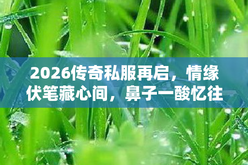 2026传奇私服再启,情缘伏笔藏心间,鼻子一酸忆往昔 2026传奇私服再启,情缘伏笔藏心间,鼻子一酸忆往昔