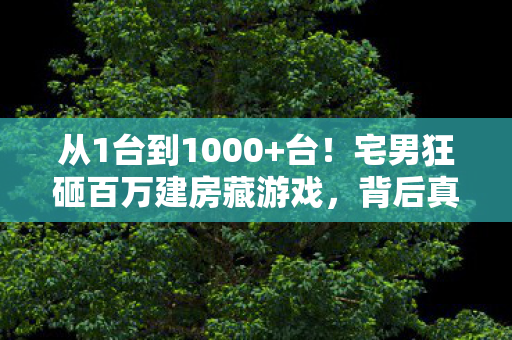 从1台到1000+台!宅男狂砸百万建房藏游戏,背后真相让人破防! 从1台到1000+台!宅男狂砸百万建房藏游戏,背后真相让人破防!