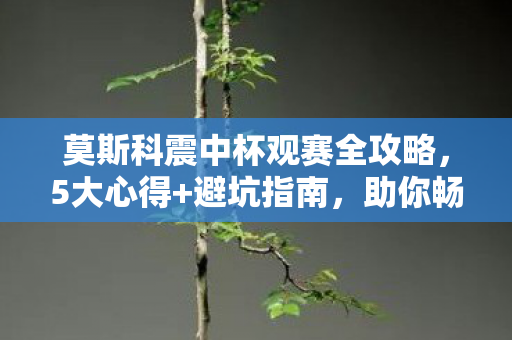 莫斯科震中杯观赛全攻略，5大心得+避坑指南，助你畅享电竞盛宴！