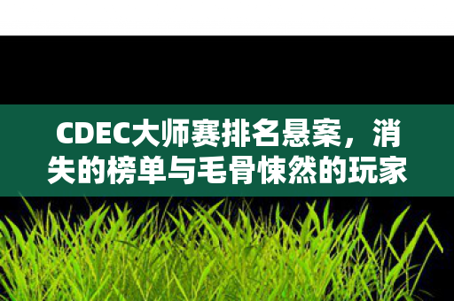 CDEC大师赛排名悬案,消失的榜单与毛骨悚然的玩家选择链 CDEC大师赛排名悬案,消失的榜单与毛骨悚然的玩家选择链