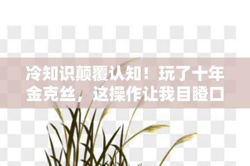 冷知识颠覆认知!玩了十年金克丝,这操作让我目瞪口呆! 冷知识颠覆认知!玩了十年金克丝,这操作让我目瞪口呆!