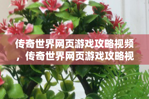 传奇世界网页游戏攻略视频图片