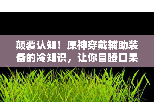 颠覆认知!原神穿戴辅助装备的冷知识,让你目瞪口呆! 颠覆认知!原神穿戴辅助装备的冷知识,让你目瞪口呆!