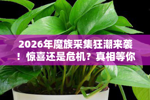 2026年魔族采集狂潮来袭!惊喜还是危机?真相等你揭秘! 2026年魔族采集狂潮来袭!惊喜还是危机?真相等你揭秘!