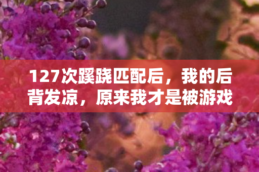 127次蹊跷匹配后,我的后背发凉,原来我才是被游戏玩透的棋子 127次蹊跷匹配后,我的后背发凉,原来我才是被游戏玩透的棋子