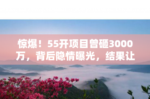 惊爆!55开项目曾砸3000万,背后隐情曝光,结果让人吓一跳! 惊爆!55开项目曾砸3000万,背后隐情曝光,结果让人吓一跳!