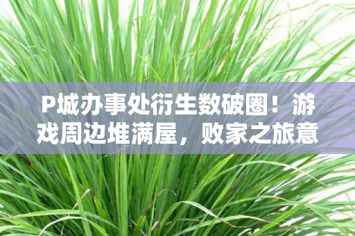 P城办事处衍生数破圈！游戏周边堆满屋，败家之旅意想不到！