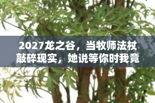 2027龙之谷，当牧师法杖敲碎现实，她说等你时我竟鼻子一酸