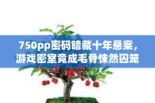 750pp密码暗藏十年悬案，游戏密室竟成毛骨悚然囚笼