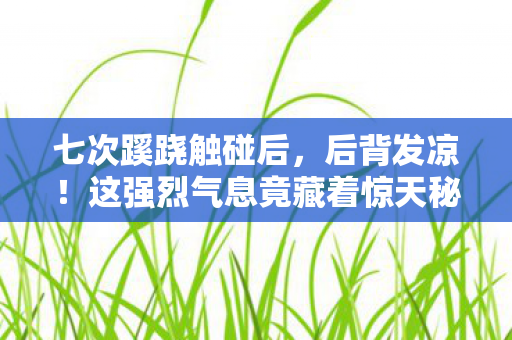 七次蹊跷触碰后,后背发凉!这强烈气息竟藏着惊天秘密 七次蹊跷触碰后,后背发凉!这强烈气息竟藏着惊天秘密