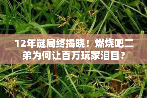 12年谜局终揭晓!燃烧吧二弟为何让百万玩家泪目? 12年谜局终揭晓!燃烧吧二弟为何让百万玩家泪目?