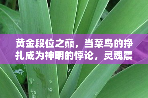 黄金段位之巅，当菜鸟的挣扎成为神明的悖论，灵魂震颤的终极审判