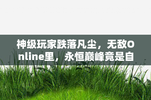 神级玩家跌落凡尘，无敌Online里，永恒巅峰竟是自我囚笼？