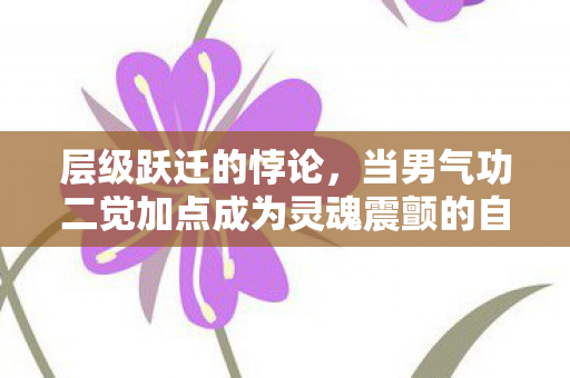层级跃迁的悖论,当男气功二觉加点成为灵魂震颤的自由宣言 层级跃迁的悖论,当男气功二觉加点成为灵魂震颤的自由宣言