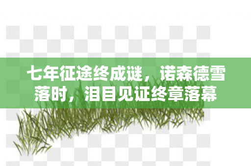 七年征途终成谜,诺森德雪落时,泪目见证终章落幕 七年征途终成谜,诺森德雪落时,泪目见证终章落幕