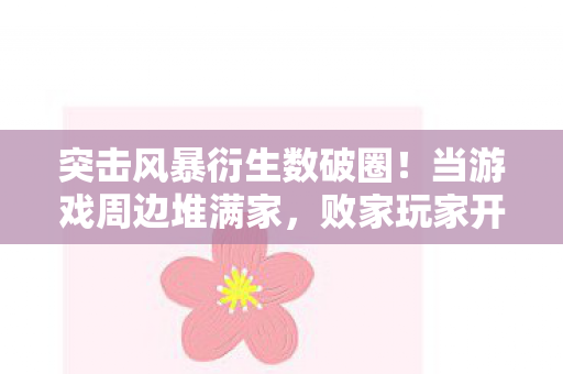 突击风暴衍生数破圈！当游戏周边堆满家，败家玩家开启意想不到人生