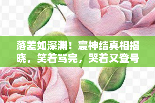 落差如深渊!寰神结真相揭晓,笑着骂完,哭着又登号 落差如深渊!寰神结真相揭晓,笑着骂完,哭着又登号