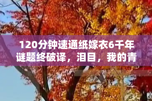 120分钟速通纸嫁衣6千年谜题终破译,泪目,我的青春竟是NPC的陪葬品 120分钟速通纸嫁衣6千年谜题终破译,泪目,我的青春竟是NPC的陪葬品