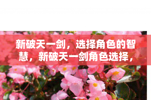 新破天一剑,选择角色的智慧,新破天一剑角色选择,智慧与策略并存 新破天一剑,选择角色的智慧,新破天一剑角色选择,智慧与策略并存