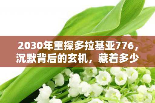 2030年重探多拉基亚776，沉默背后的玄机，藏着多少人生密码？