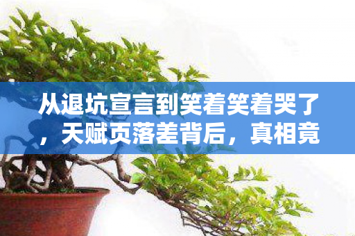 从退坑宣言到笑着笑着哭了,天赋页落差背后,真相竟是…… 从退坑宣言到笑着笑着哭了,天赋页落差背后,真相竟是……