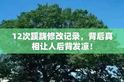 12次蹊跷修改记录,背后真相让人后背发凉! 12次蹊跷修改记录,背后真相让人后背发凉!