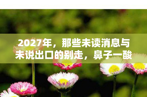 2027年,那些未读消息与未说出口的别走,鼻子一酸终成回忆 2027年,那些未读消息与未说出口的别走,鼻子一酸终成回忆