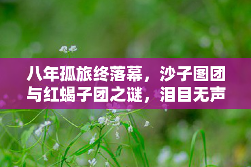 八年孤旅终落幕，沙子图团与红蝎子团之谜，泪目无声