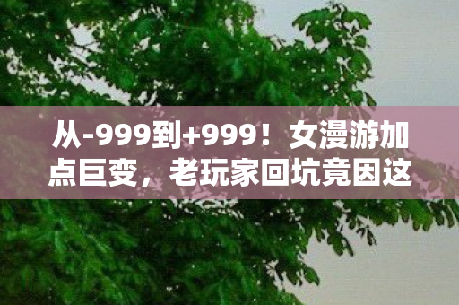 从-999到+999！女漫游加点巨变，老玩家回坑竟因这？