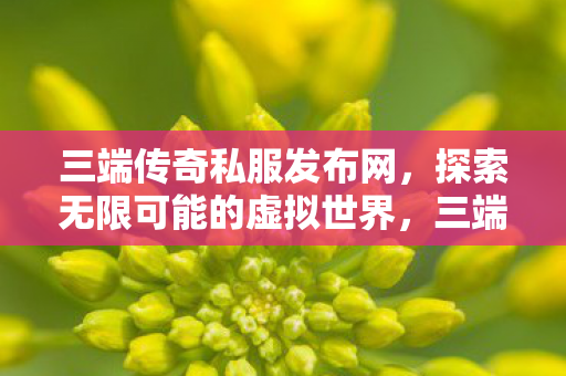 三端传奇私服发布网,探索无限可能的虚拟世界,三端传奇,探索虚拟世界的无限可能 三端传奇私服发布网,探索无限可能的虚拟世界,三端传奇,探索虚拟世界的无限可能