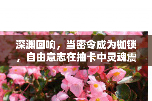 深渊回响,当密令成为枷锁,自由意志在抽卡中灵魂震颤 深渊回响,当密令成为枷锁,自由意志在抽卡中灵魂震颤