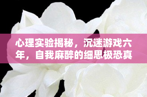 心理实验揭秘,沉迷游戏六年,自我麻醉的细思极恐真相 心理实验揭秘,沉迷游戏六年,自我麻醉的细思极恐真相