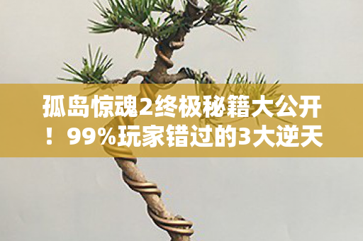 孤岛惊魂2终极秘籍大公开!99%玩家错过的3大逆天体验心得 孤岛惊魂2终极秘籍大公开!99%玩家错过的3大逆天体验心得