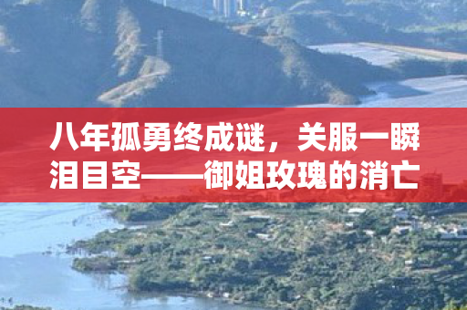 八年孤勇终成谜,关服一瞬泪目空——御姐玫瑰的消亡史 八年孤勇终成谜,关服一瞬泪目空——御姐玫瑰的消亡史