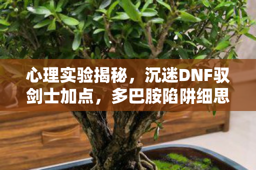 心理实验揭秘,沉迷DNF驭剑士加点,多巴胺陷阱细思极恐 心理实验揭秘,沉迷DNF驭剑士加点,多巴胺陷阱细思极恐