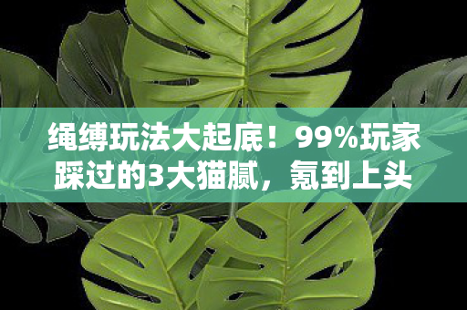 绳缚玩法大起底!99%玩家踩过的3大猫腻,氪到上头却越玩越废? 绳缚玩法大起底!99%玩家踩过的3大猫腻,氪到上头却越玩越废?