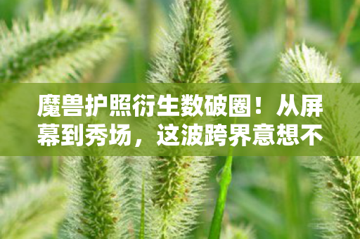 魔兽护照衍生数破圈!从屏幕到秀场,这波跨界意想不到! 魔兽护照衍生数破圈!从屏幕到秀场,这波跨界意想不到!