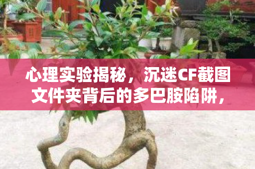 心理实验揭秘,沉迷CF截图文件夹背后的多巴胺陷阱,细思极恐! 心理实验揭秘,沉迷CF截图文件夹背后的多巴胺陷阱,细思极恐!