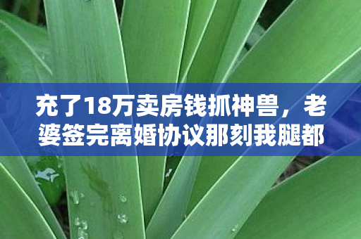 充了18万卖房钱抓神兽,老婆签完离婚协议那刻我腿都软了! 充了18万卖房钱抓神兽,老婆签完离婚协议那刻我腿都软了!