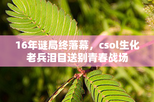 16年谜局终落幕,csol生化老兵泪目送别青春战场 16年谜局终落幕,csol生化老兵泪目送别青春战场