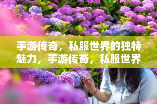 手游传奇,私服世界的独特魅力,手游传奇,私服世界的独特魅力 手游传奇,私服世界的独特魅力,手游传奇,私服世界的独特魅力