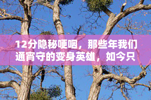 12分隐秘哽咽，那些年我们通宵守的变身英雄，如今只剩空荡仓库