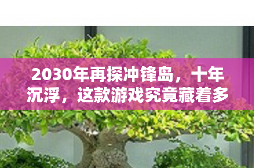 2030年再探冲锋岛,十年沉浮,这款游戏究竟藏着多少惊天秘密? 2030年再探冲锋岛,十年沉浮,这款游戏究竟藏着多少惊天秘密?