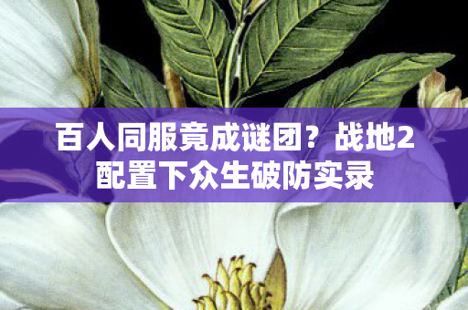 百人同服竟成谜团?战地2配置下众生破防实录 百人同服竟成谜团?战地2配置下众生破防实录